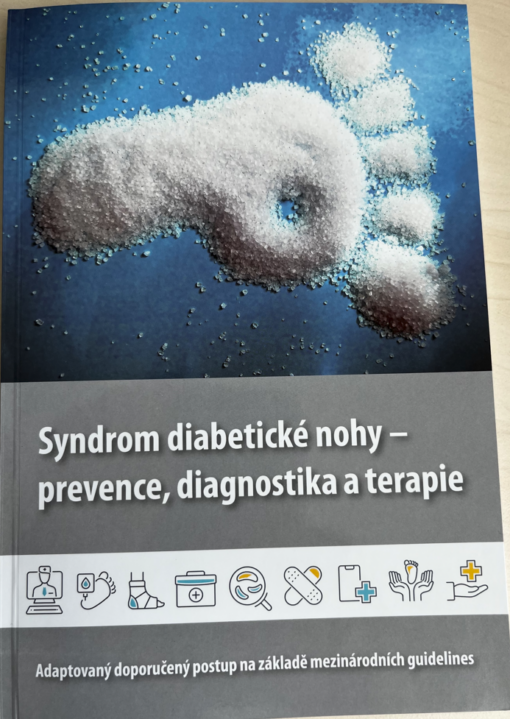 Kniha Syndrom diabetické nohy - guidelines