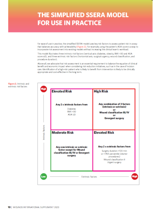 SSI risk assessment, á 20 ks (AJ) - Image 3